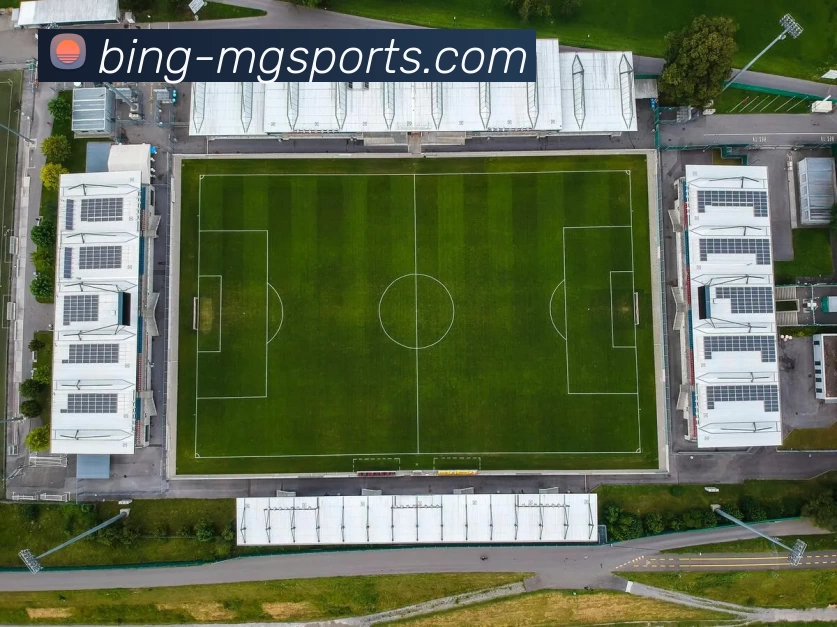 辅助工具